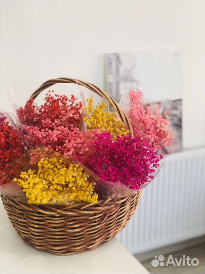 Стабилизированная гипсофила