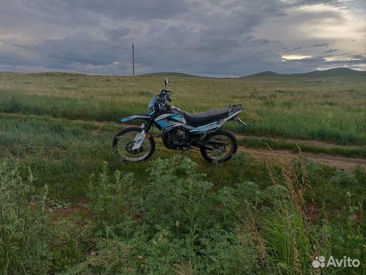 Рейсер Пантера 300