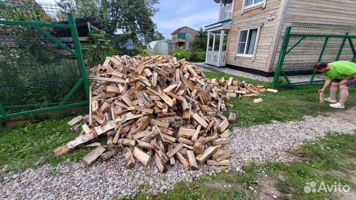 Дрова берёза Горбыль