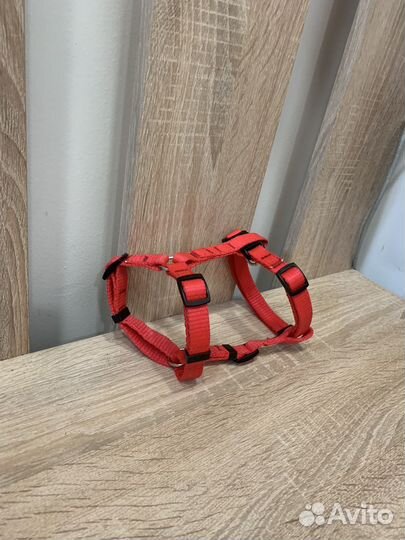 Шлейки для собак