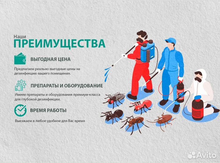 Уничтожение клопов и тараканов дезинфекция