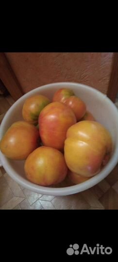 Помидоры свежие домашние