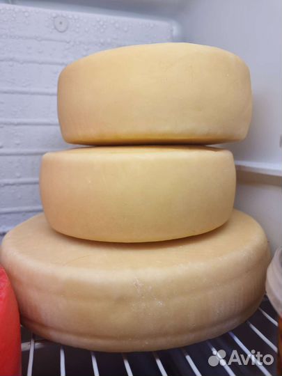 Домашние куриные яйца и сыр домашний