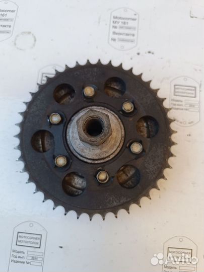 Ведомая звезда Минск