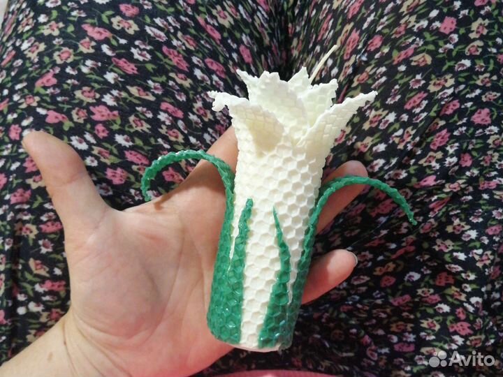 Выездной мастер-класс 