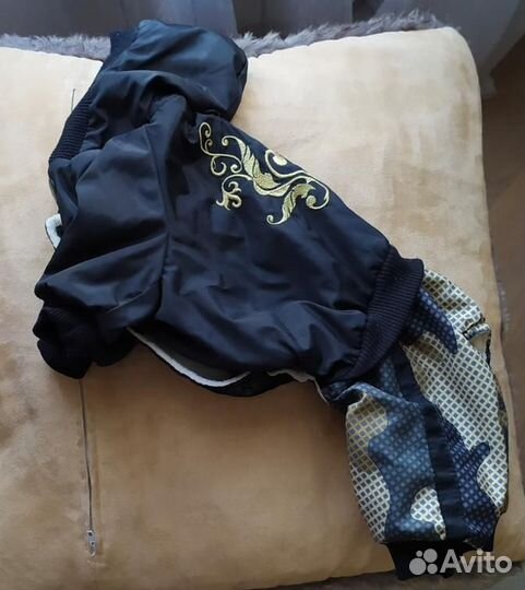 Комбинезон для мелкой собачки