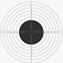 Мишень для стрельбы. Мишень. 50 шт. 100 шт. 55х55