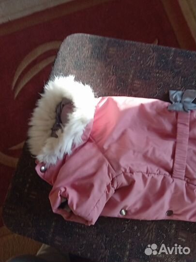 Комбинезон для суки