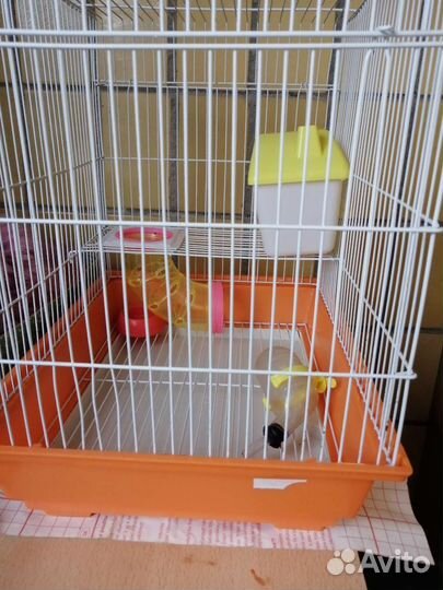 Клетка для хомяка бу