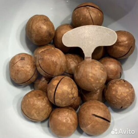 Макадамия Орех