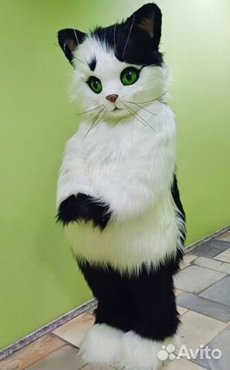 Ростовые куклы Кот и Кошечка. Поздравление