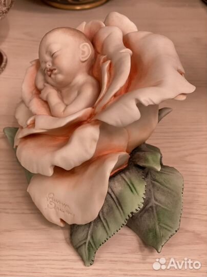 Младенец в розе