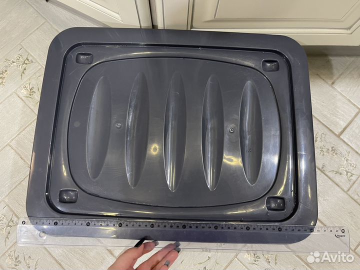 Улитки ахатины бесплатно