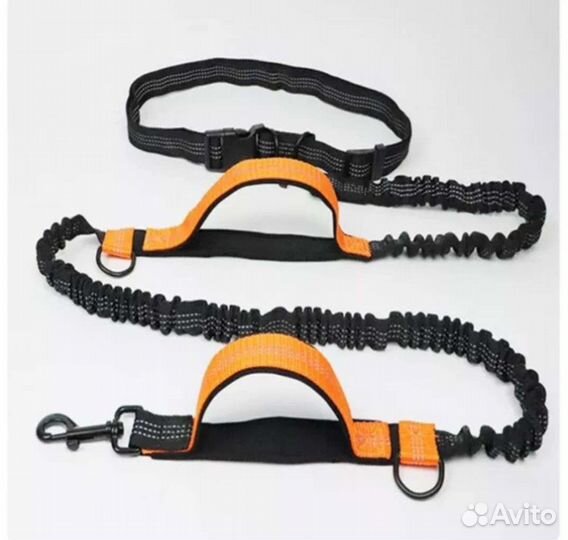 Поводок для собак. Поводок для бега