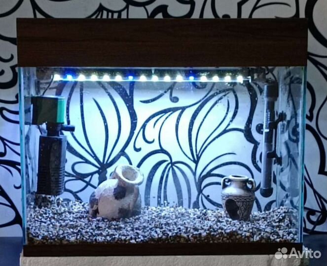 Аквариум