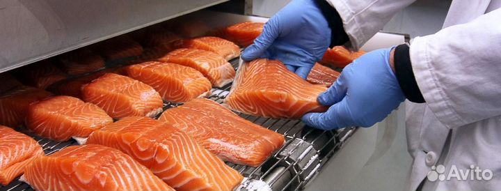 Упаковщик красной рыбы/вахта