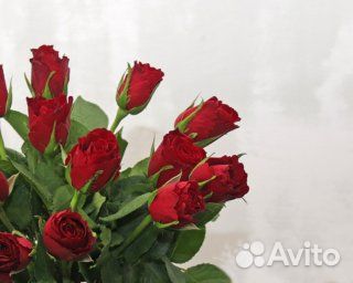 Букет из 15 красных роз 35-40 см (Кения) под ленту