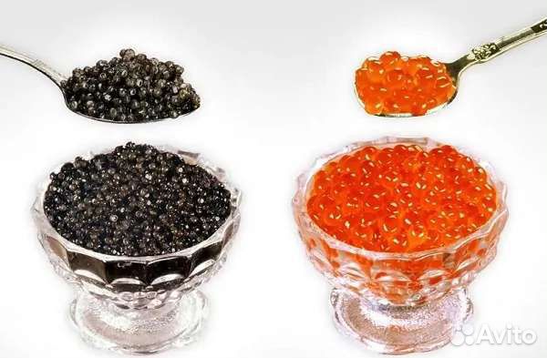 Живая икра - совместная закупка