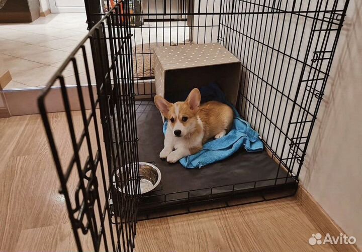 Клетки для собак вольеры