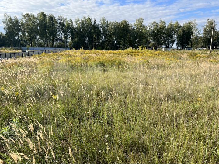 Участок 34 сот. (ИЖС)