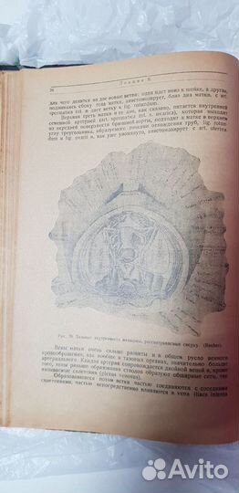 Руководство по общей гинекологии И.В.Судаков 1925г