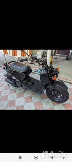 Хонда зуммер honda zoomer