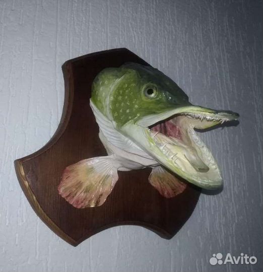 Чучело рыбы