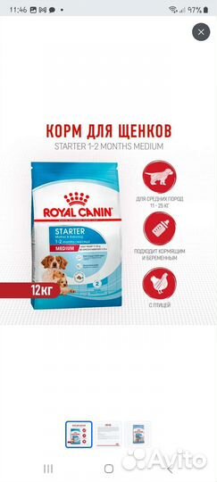 Сухой корм для щенков Роял Канин Стартер медиум