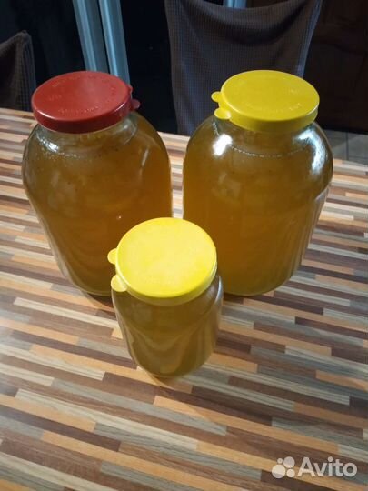 Майский Мед 2023 г./ Кориандр + разнотравие 2023г