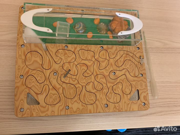 Муравьиная ферма