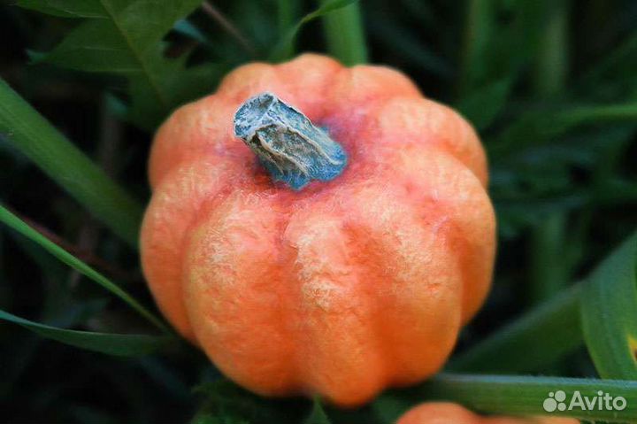 Тыквы для декора