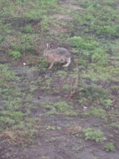 Дом 70 м² на участке 10 га