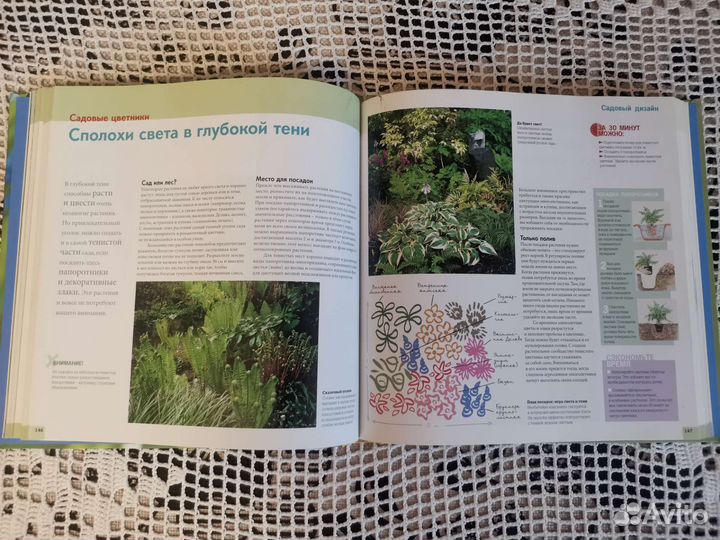 Большая книга 