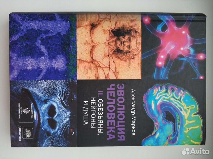 Коллекция книг 