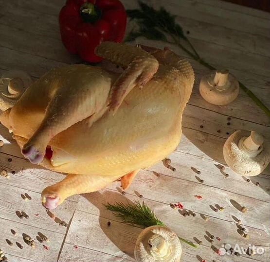 Куры бройлеры тушки