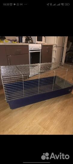 Клетка и спутник