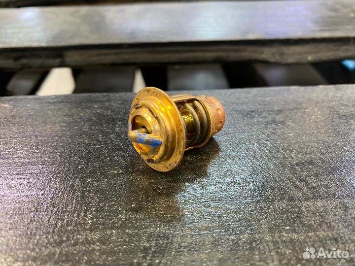 Термостат Mercury