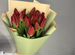 19 крупных премиальных тюльпанов