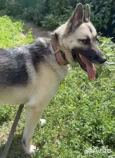 Молодой Красивый Умный паренек из приюта