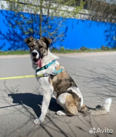 Забери меня домой