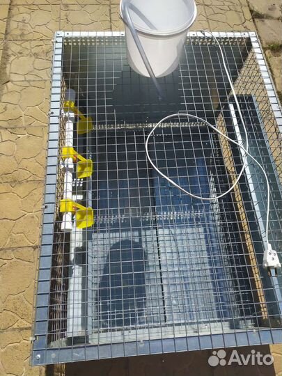 Клетки для кур