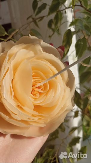 Свечи цветы ручной работы