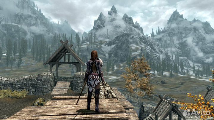 TES 5 Skyrim VR PS4/PS5 На Русском