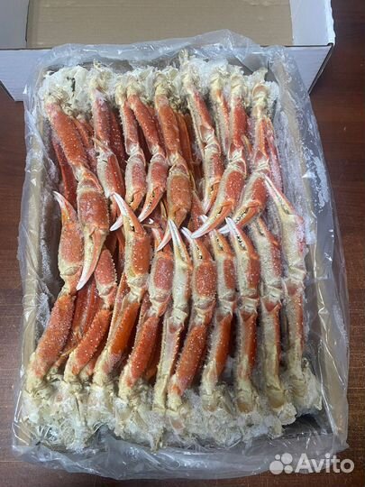 Клешни краба стригуна