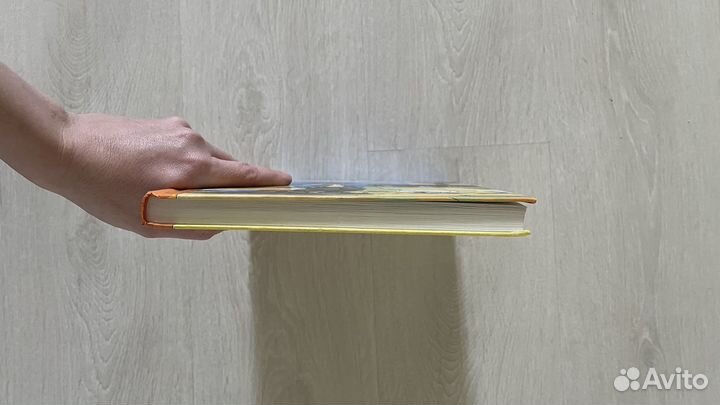 Приключенич Эмиля из Ленненбергии