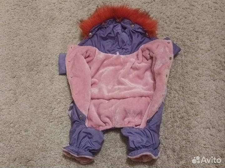 Дождевик для собаки девочки