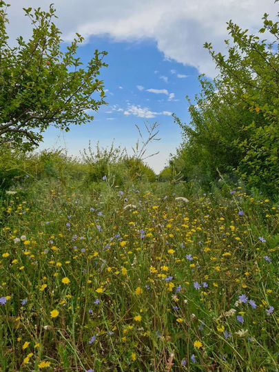 Участок 2,2 га (СНТ, ДНП)