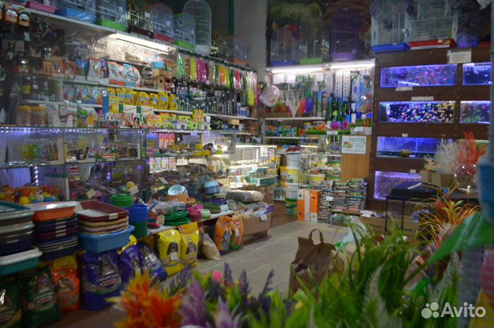 Лежанки, когтеточки, игрушки