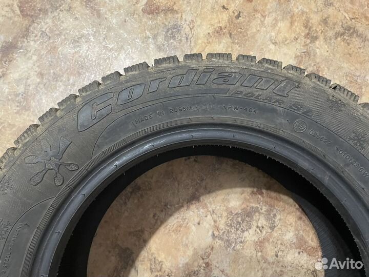 Cordiant Polar SL 195/65 R15