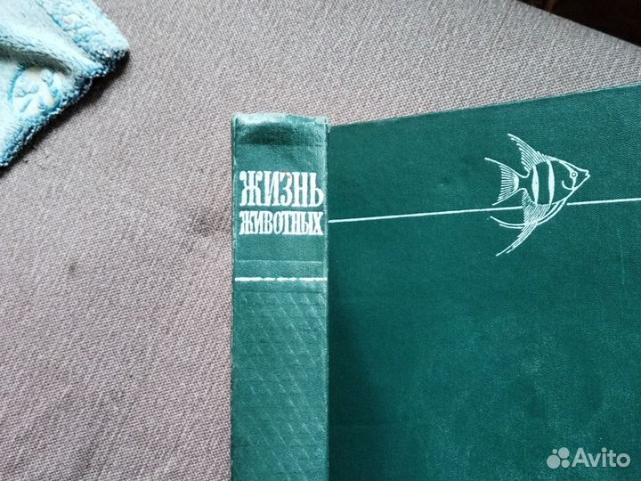 Книги, жизнь животных